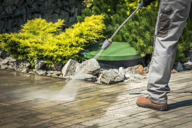Best Gutter Cleaning  in Larchmont, NY